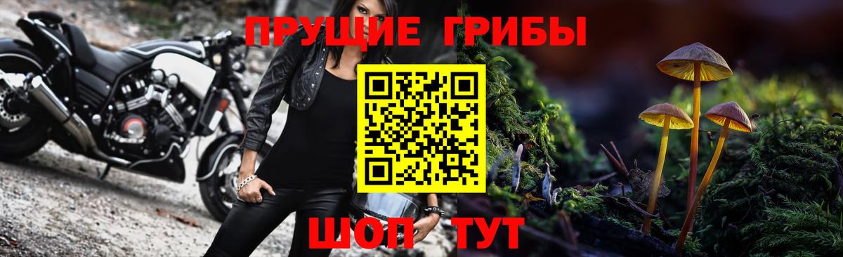 Семёнов  Псилоцибиновые грибы ЛСД  Вход с VPN 