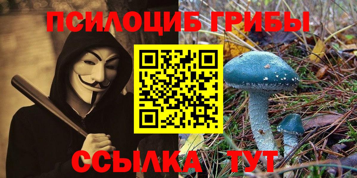 Псилоцибиновые грибы Psilocybine cubensis Семёнов